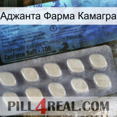 Аджанта Фарма Камагра 34